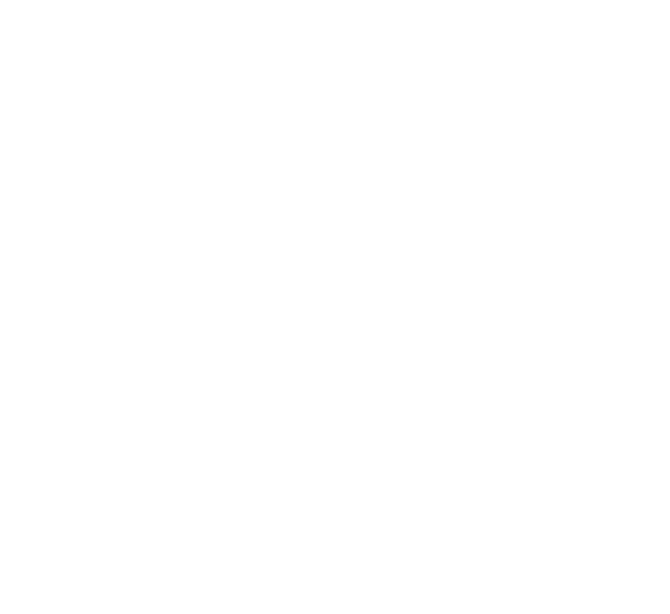 Atomic nucleus